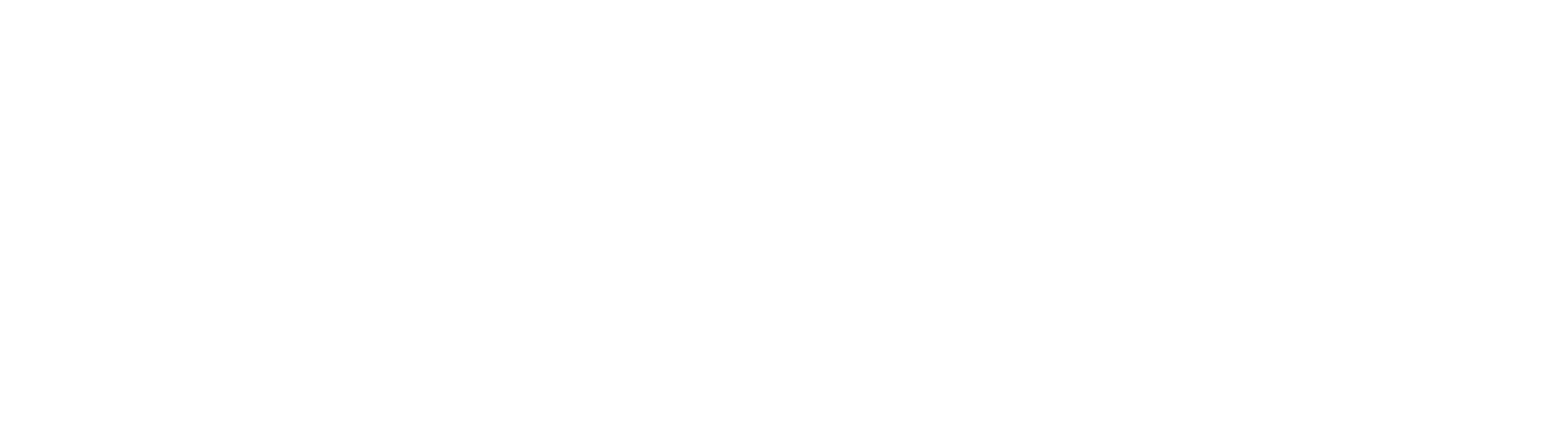 logoipsum-4.png